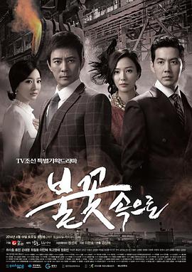 濮阳实力网站优化电话